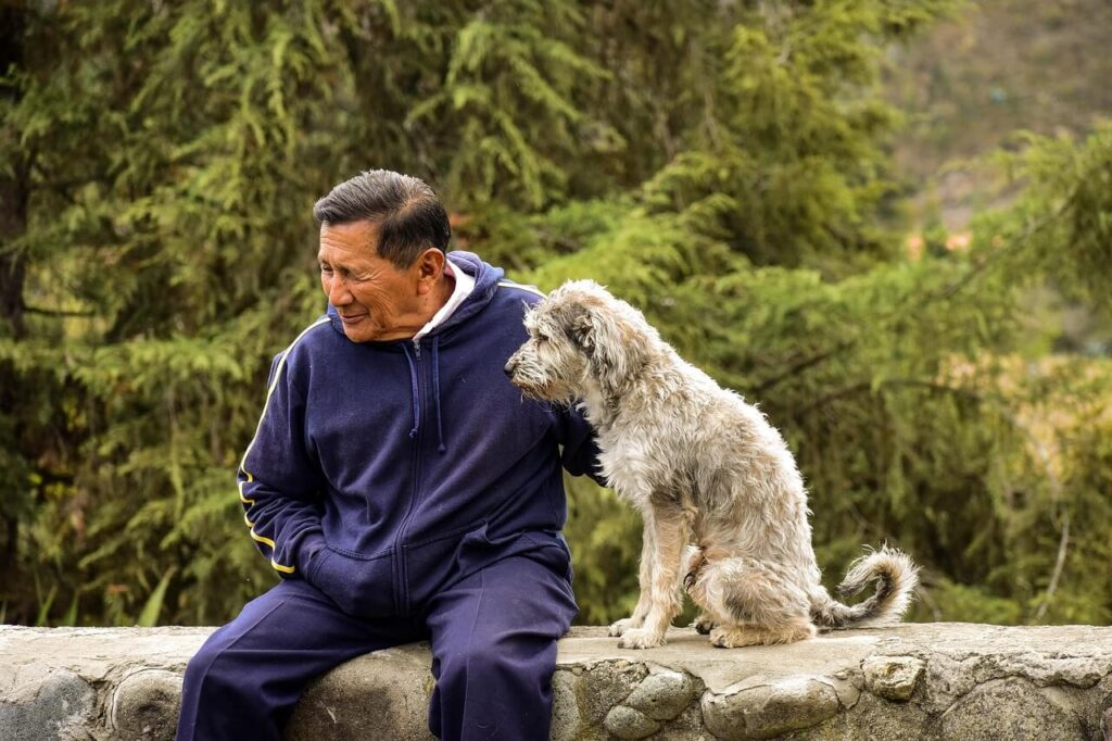 An image of an elderly man wearing a navy blue sports jacket sitting on a stone ledge outdoors with a scruffy, light-colored dog.